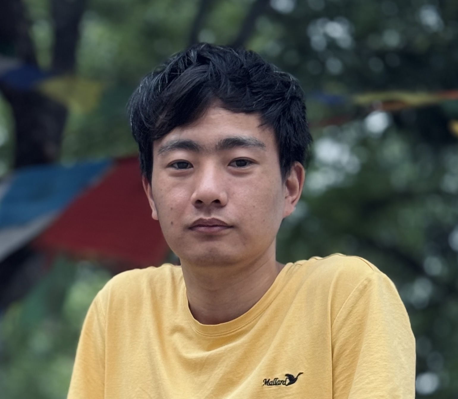 Bhanu Limbu's profile picture